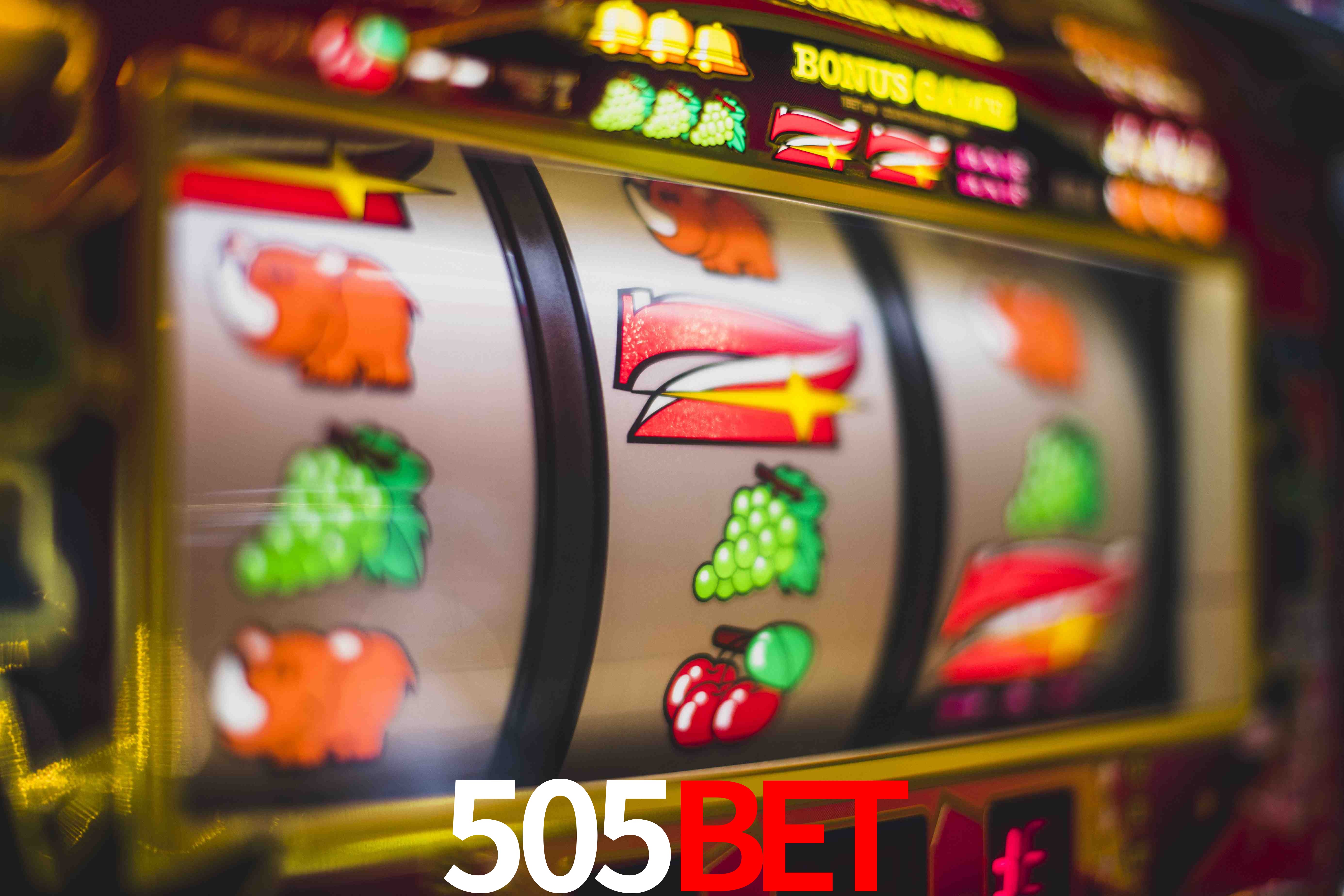 Sports Statistics 505bet